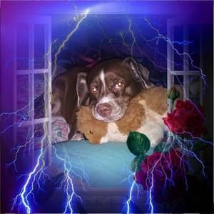 Meet your Posher, Melody